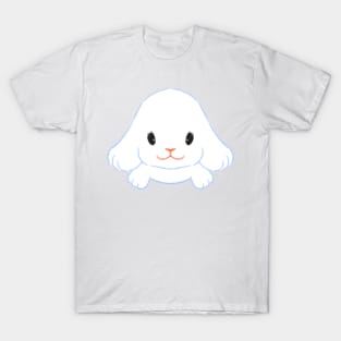 Connie the Rabbit in Connecticut. The Rabbit T-Shirt